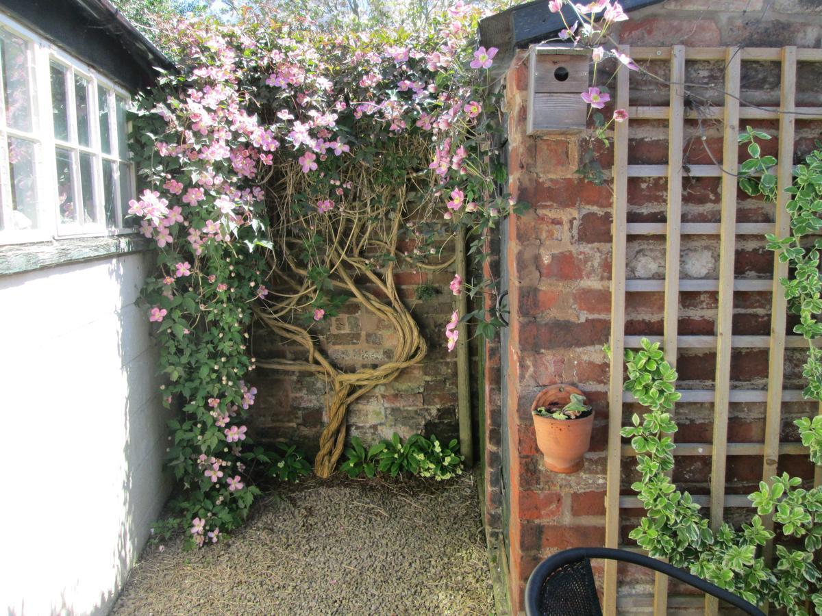 Borrowers Cottage Condover ภายนอก รูปภาพ